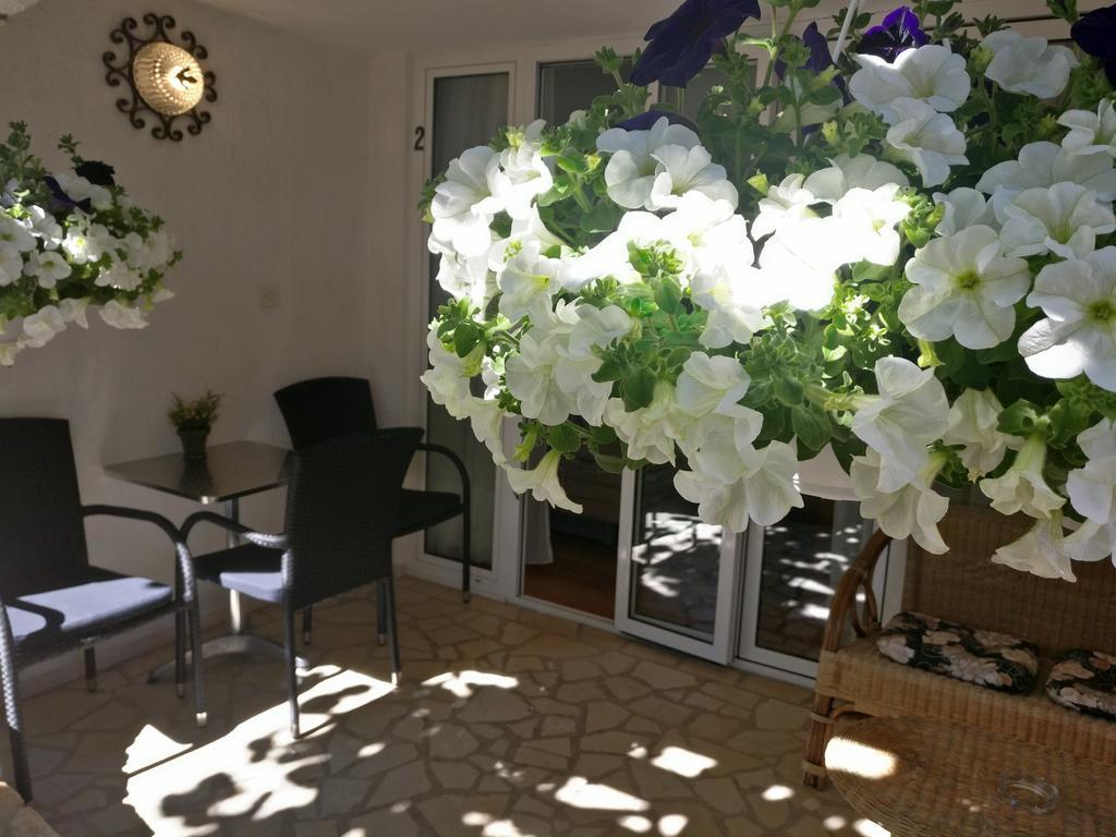 Apartments Ana - Ровин Екстериор снимка
